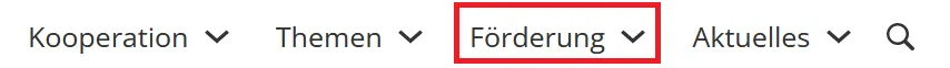 Hauptmenü, Menüpunkt Förderung