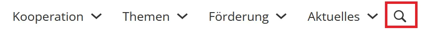 Hauptmenü, Menüpunkt Suche